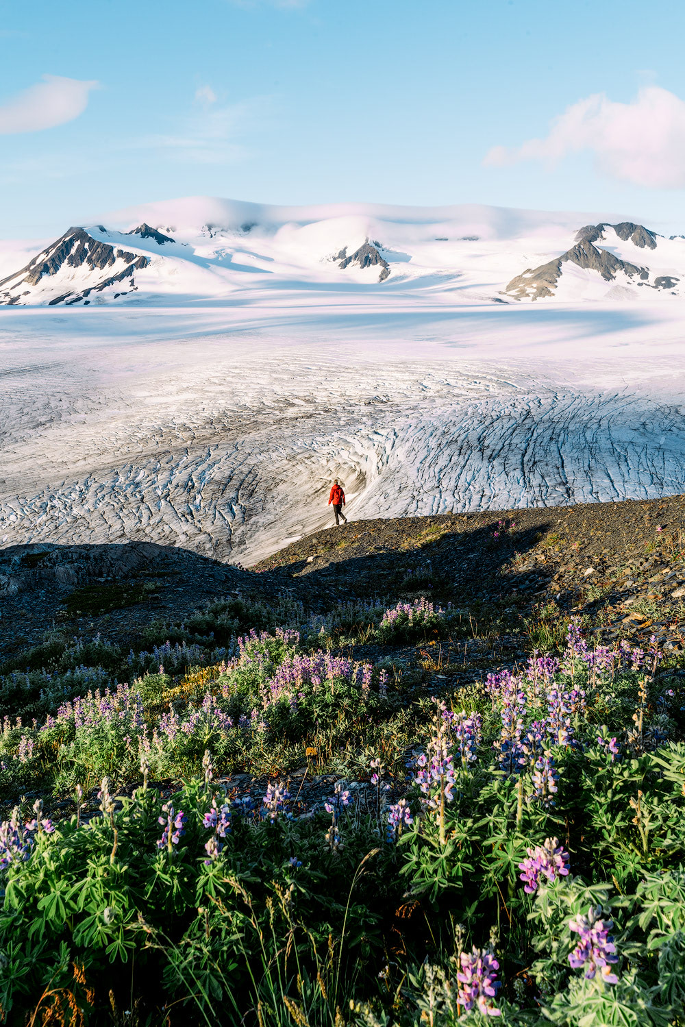 5 Epic Alaska Hiking and Backpacking Adventures Harding Icefield Kenai Fjords National Park Renee Roaming 2