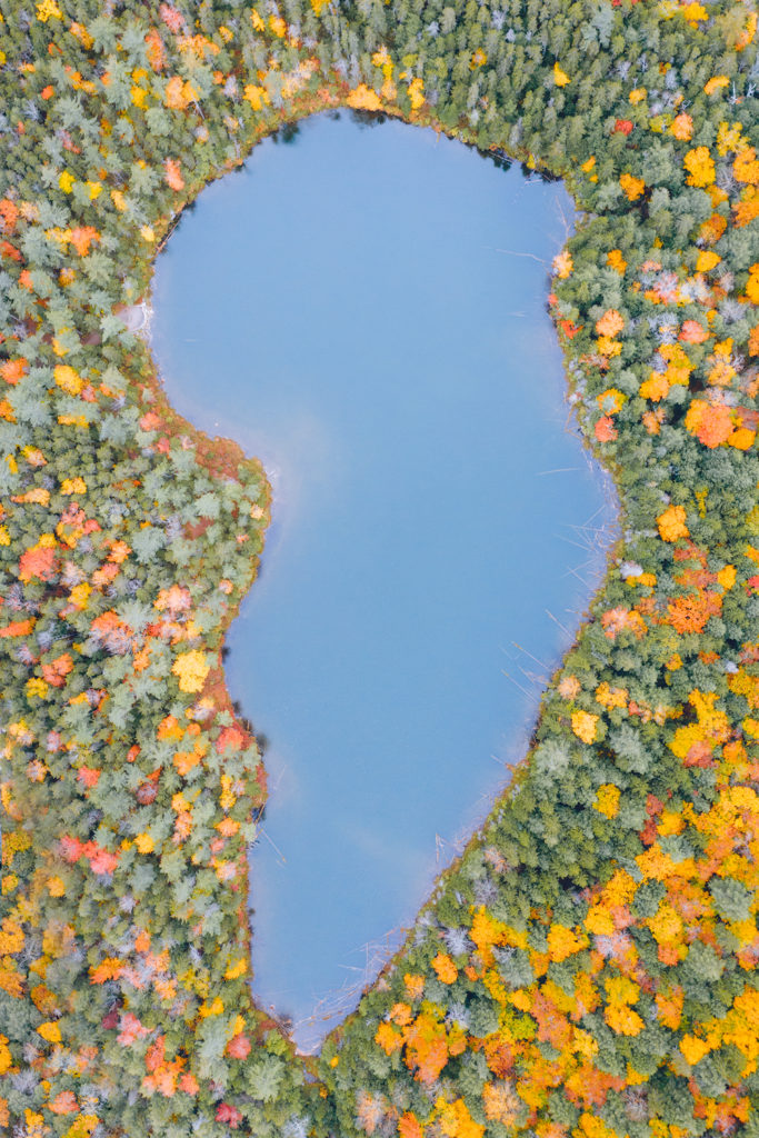 New England Fall Road Trip Ultimate Itinerary Renee Roaming Falls Pond White Mountains New Hampshire