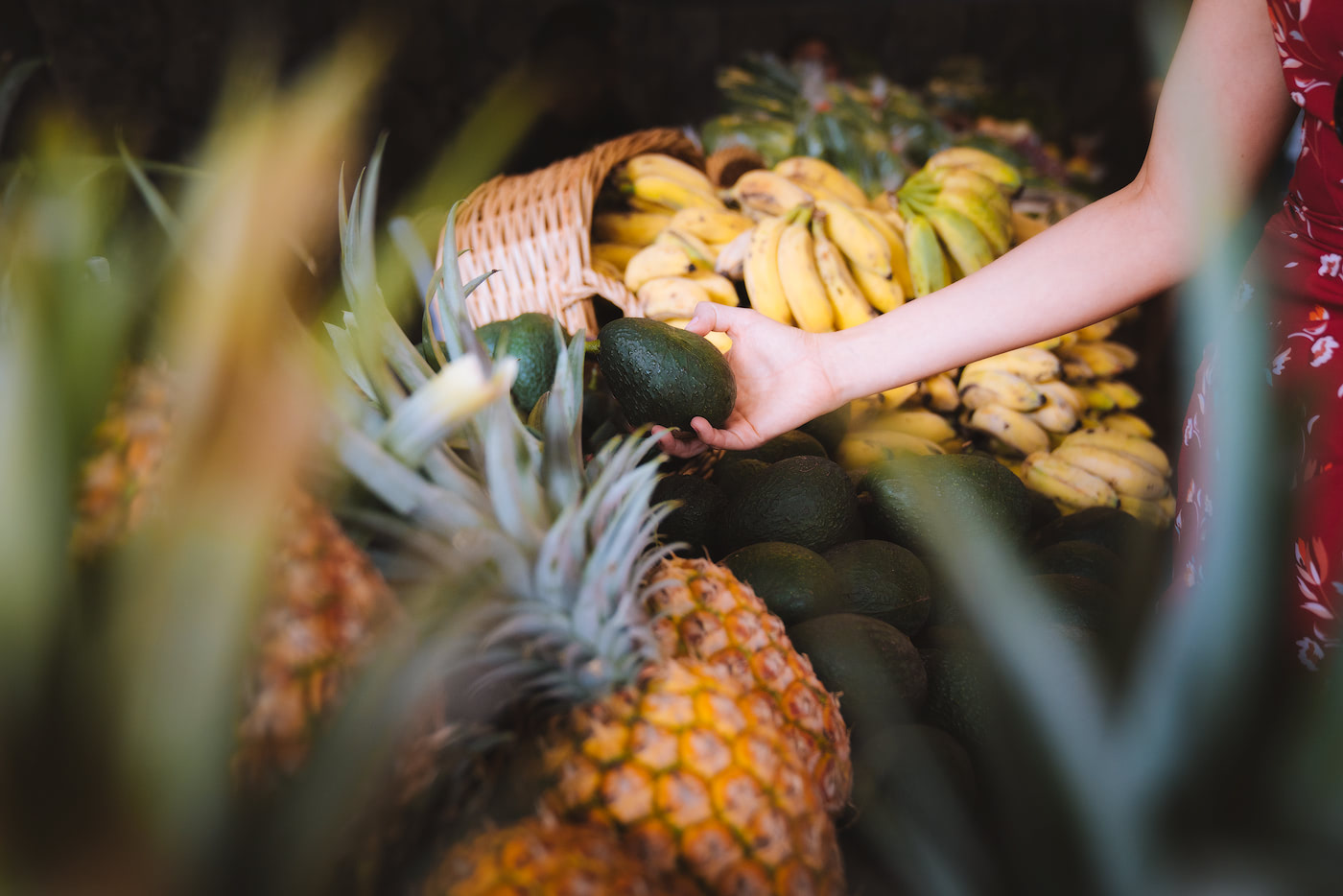 Haleiwa Farmers Market