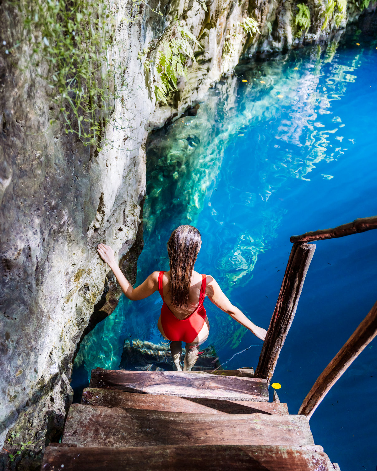Oxman Cenote | Tulum Mexico Travel Guide