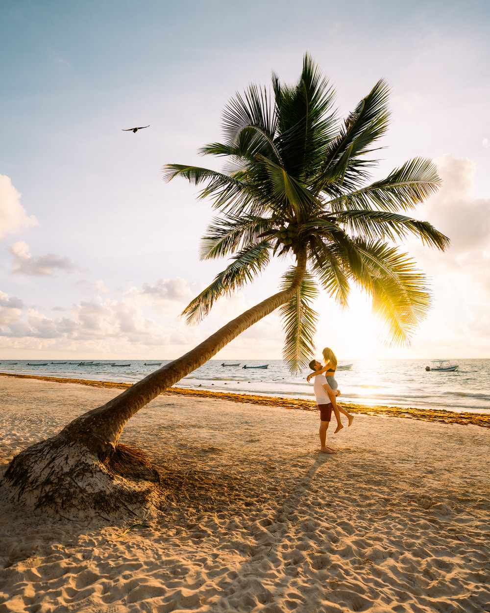 Playa Pariso Palm Tree 