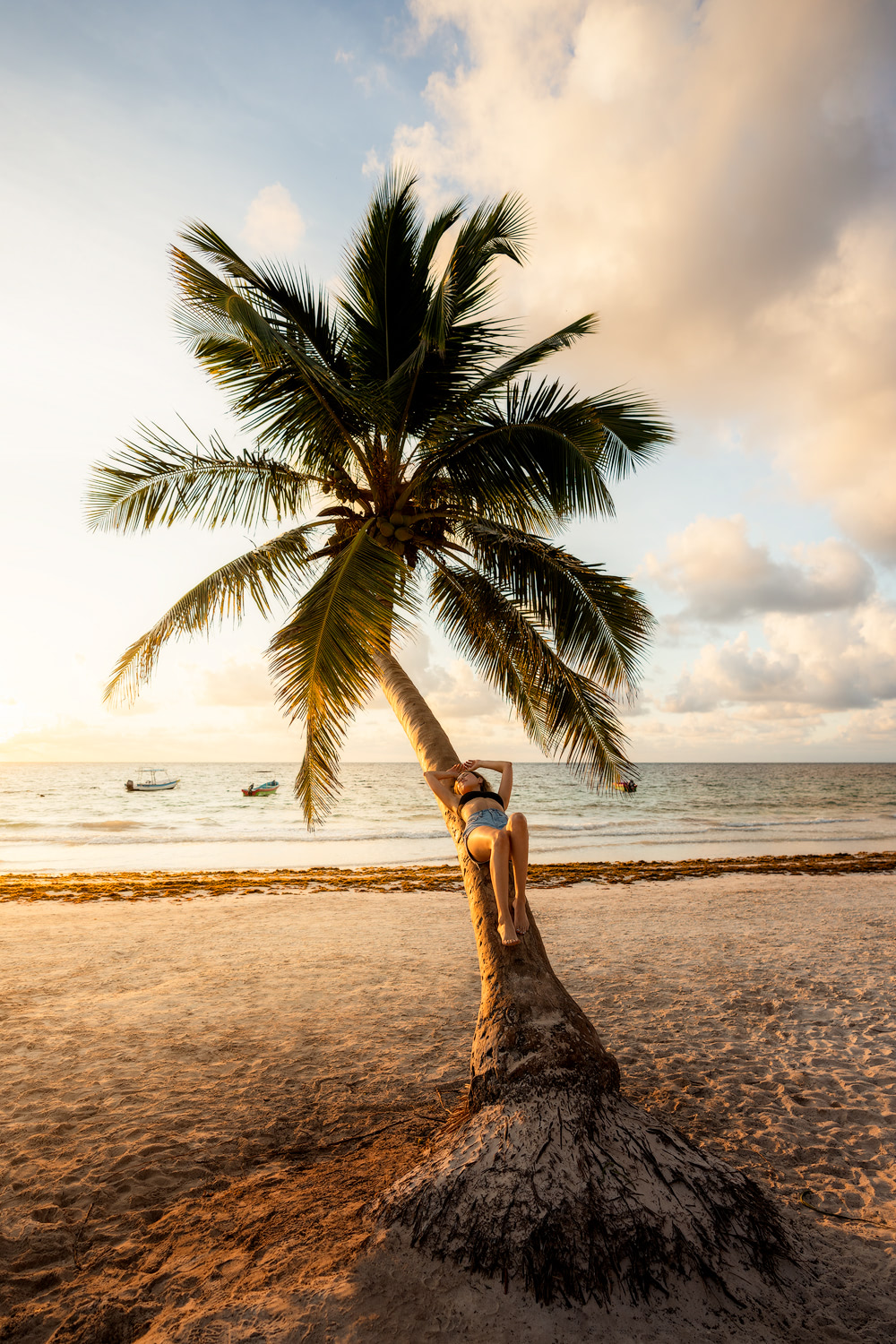 Make the Most of Your Trip to Tulum Mexico A Comprehensive Guide Playa Pariso Palm Tree Renee Roaming