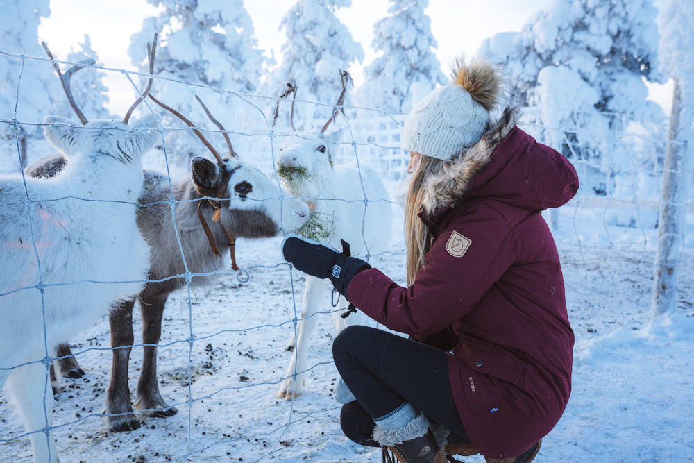 Packing for a winter trip to the Arctic isn’t as challenging as you think! Find out everything you should pack for an cold adventure in the Arctic, including for destinations like Lapland, Norway, Iceland and more – Renee Roaming