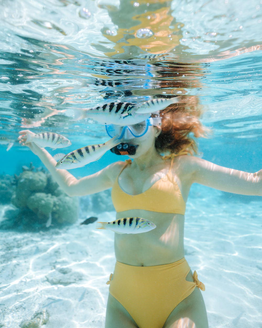 The Islands of Tahiti Le Tahaa Island Resort and Spa Renee Roaming Coral Garden Snorkeling 1