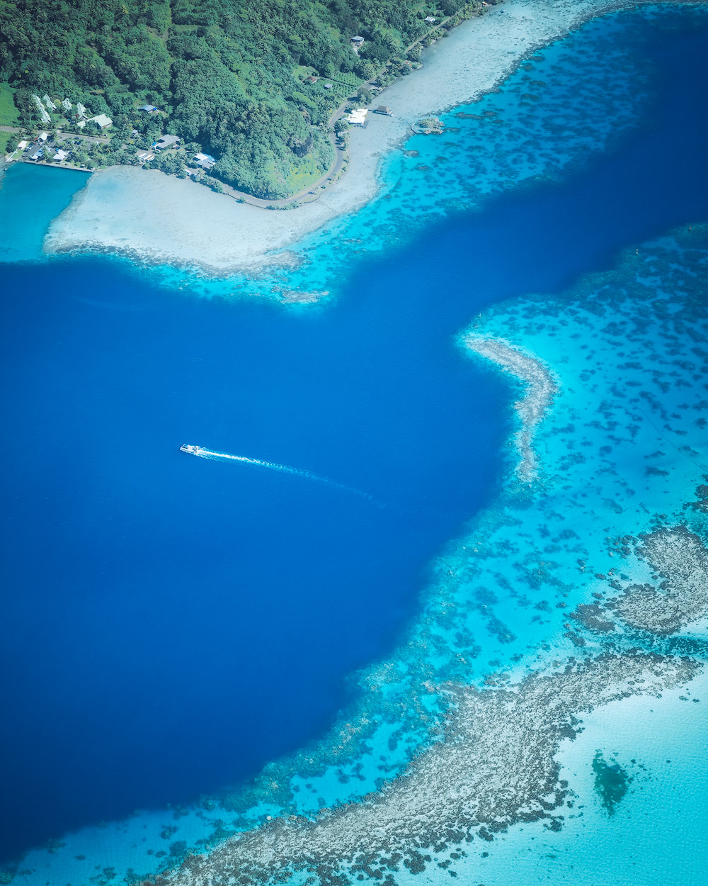 seaplane excursion