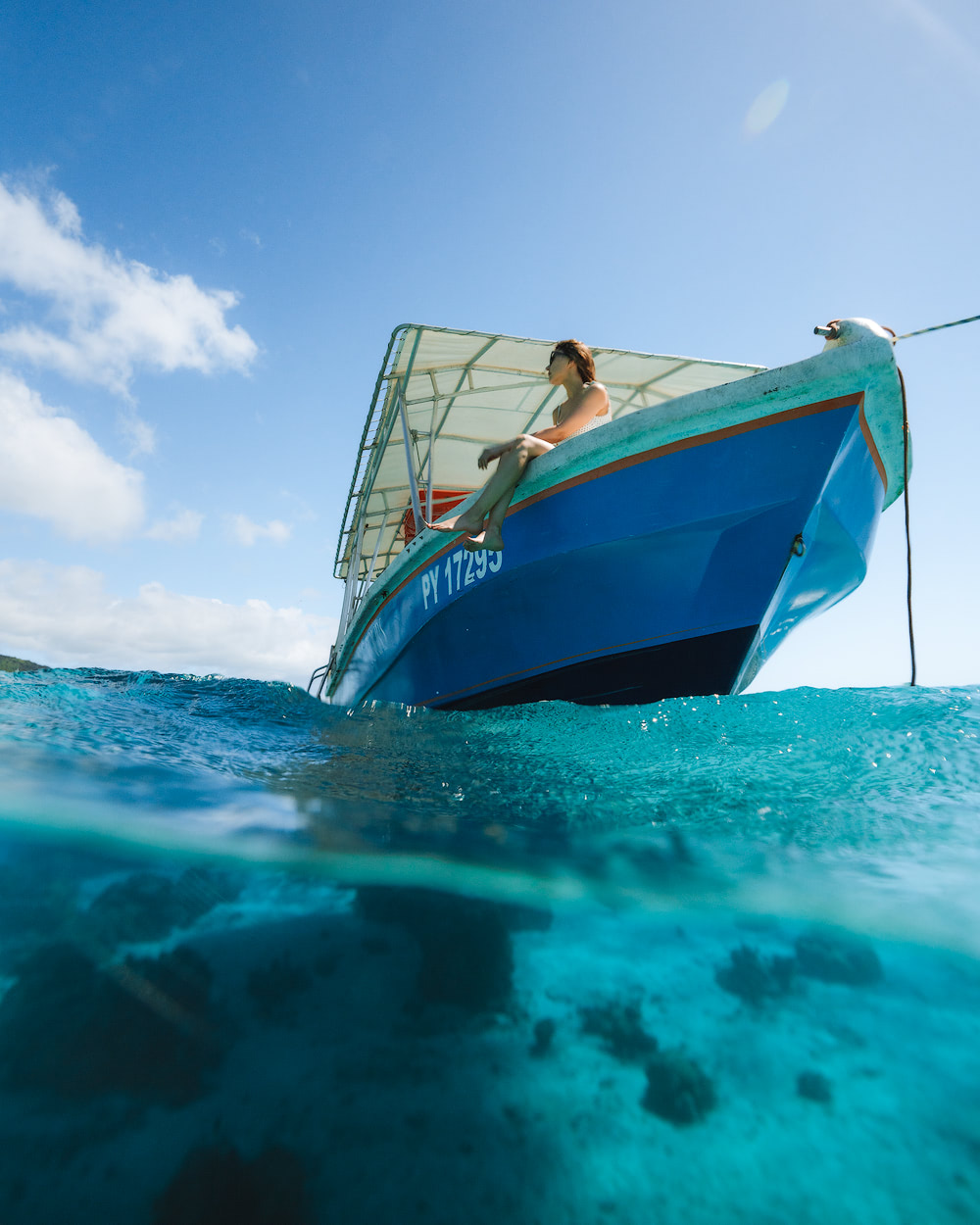 The Islands of Tahiti Moorea Coral Gardeners 2