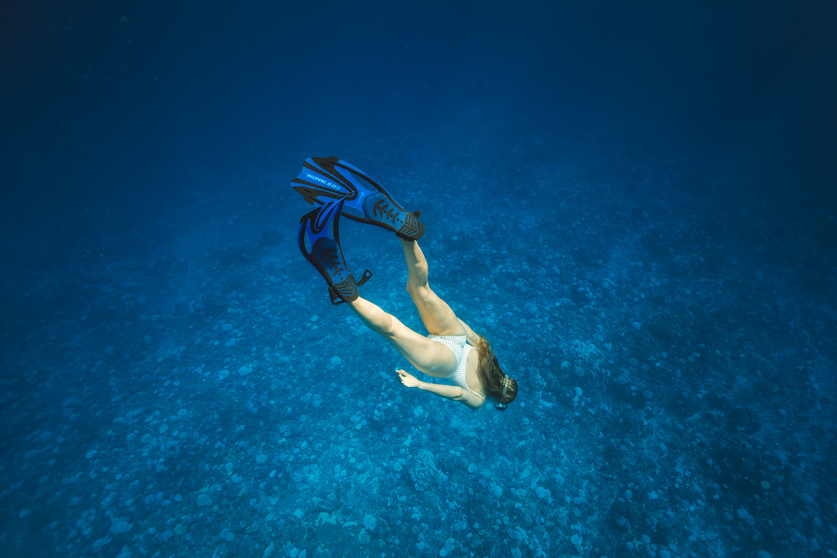 Moorea Coral Gardener