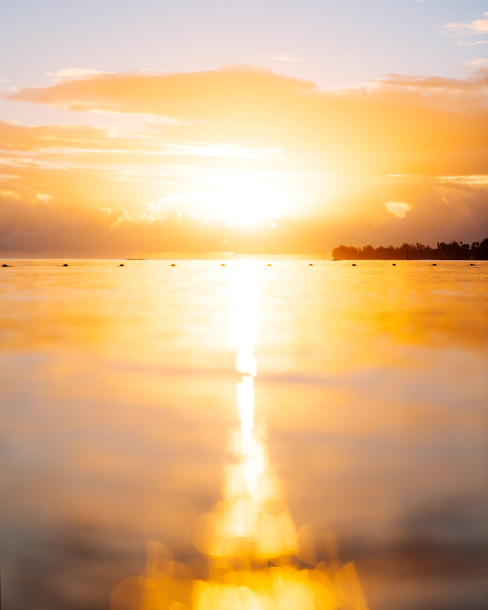 The Islands of Tahiti Moorea Manava Resort Sunrise