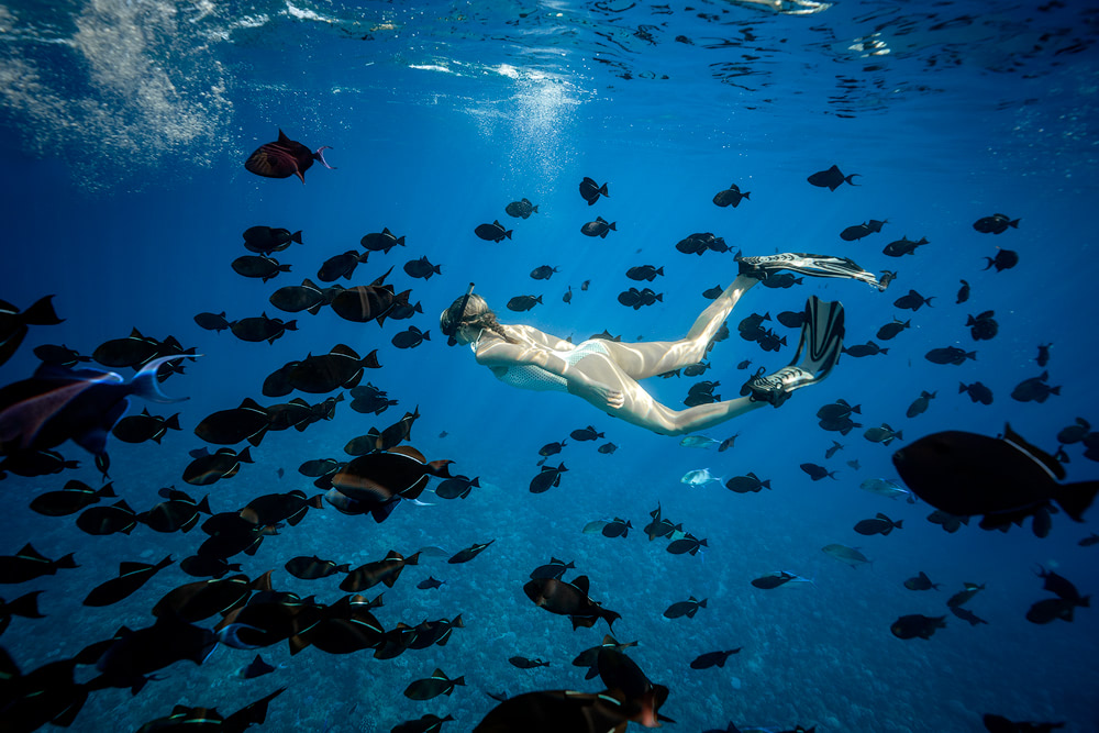 The Ultimate Romantic Couples Getaway to Bora Bora French Polynesia Snorkeling