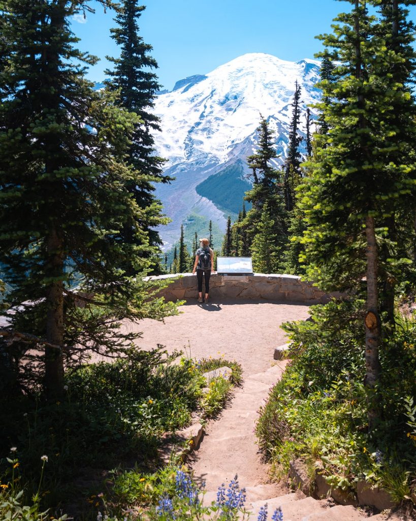 Emmons Vista Overlook and Silver Forest Trail in Mount Rainier National Park