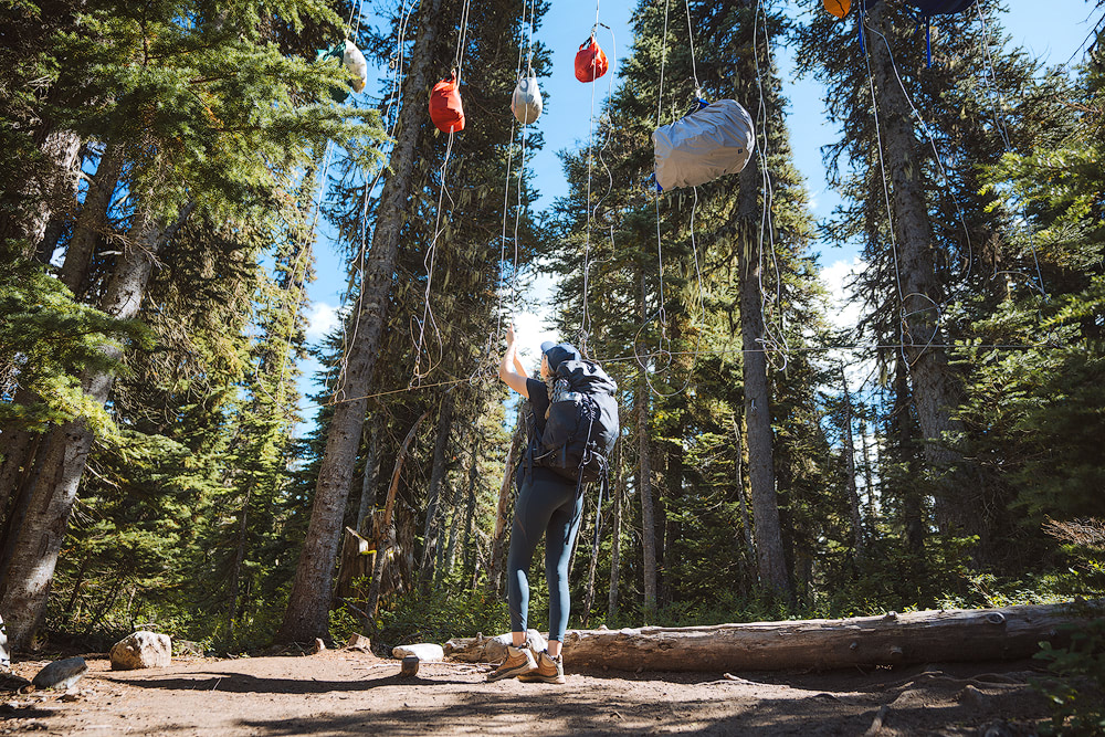 Garibaldi Provincial Park Panorama Ridge Overnight Backpacking Trip Bear Cache