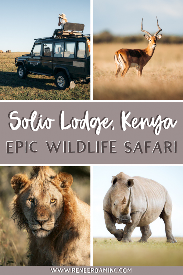 Experiencing an Incredible Luxury Safari at Solio Lodge, Kenya