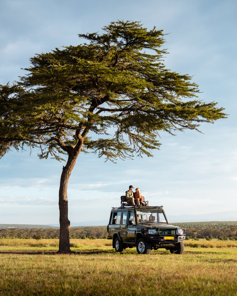 Sunset Safari Vehicle