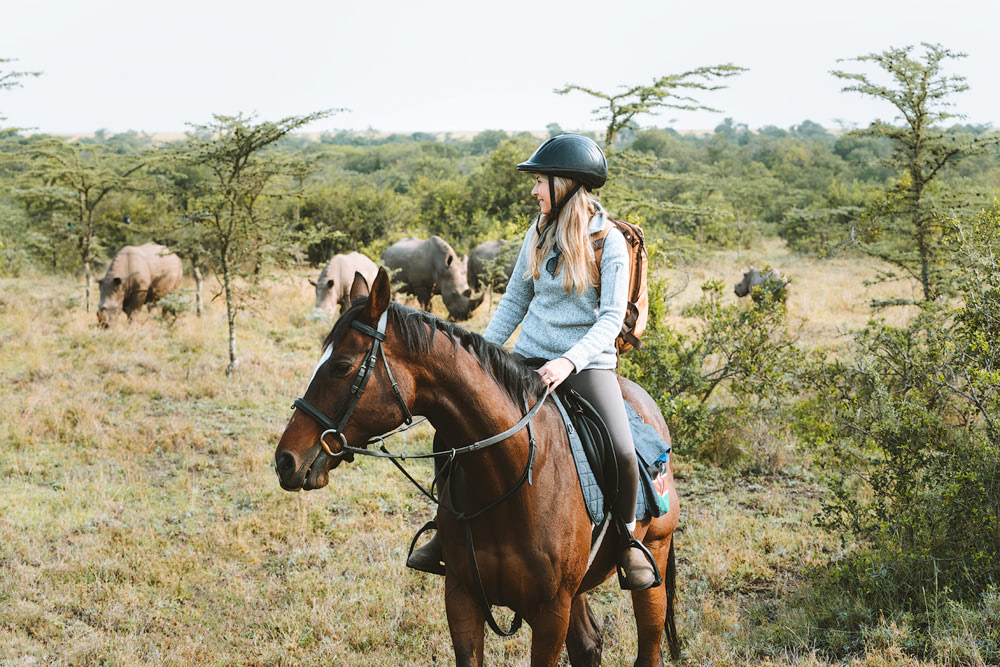 Kenya Horse Riding Ultimate Safari Adventure at Ol Pejeta Conservancy Kenya Horse Riding