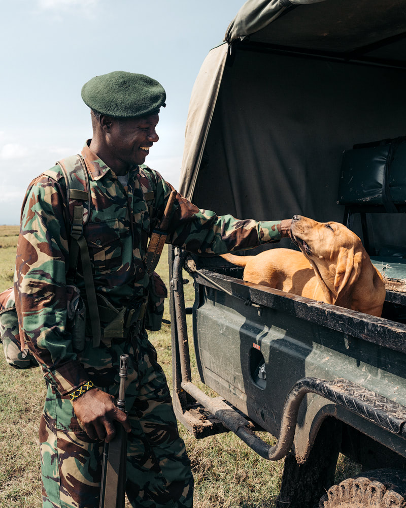 Ultimate Safari Adventure at Ol Pejeta Conservancy Kenya K9 Blood Hound Unit 5