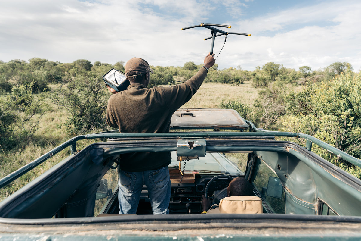 Kenya Lion Tracking Radar