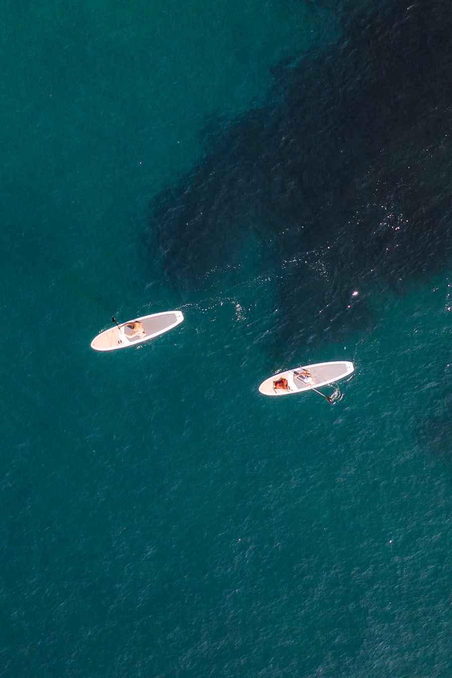 Laguna Beach SUP Aerial 3