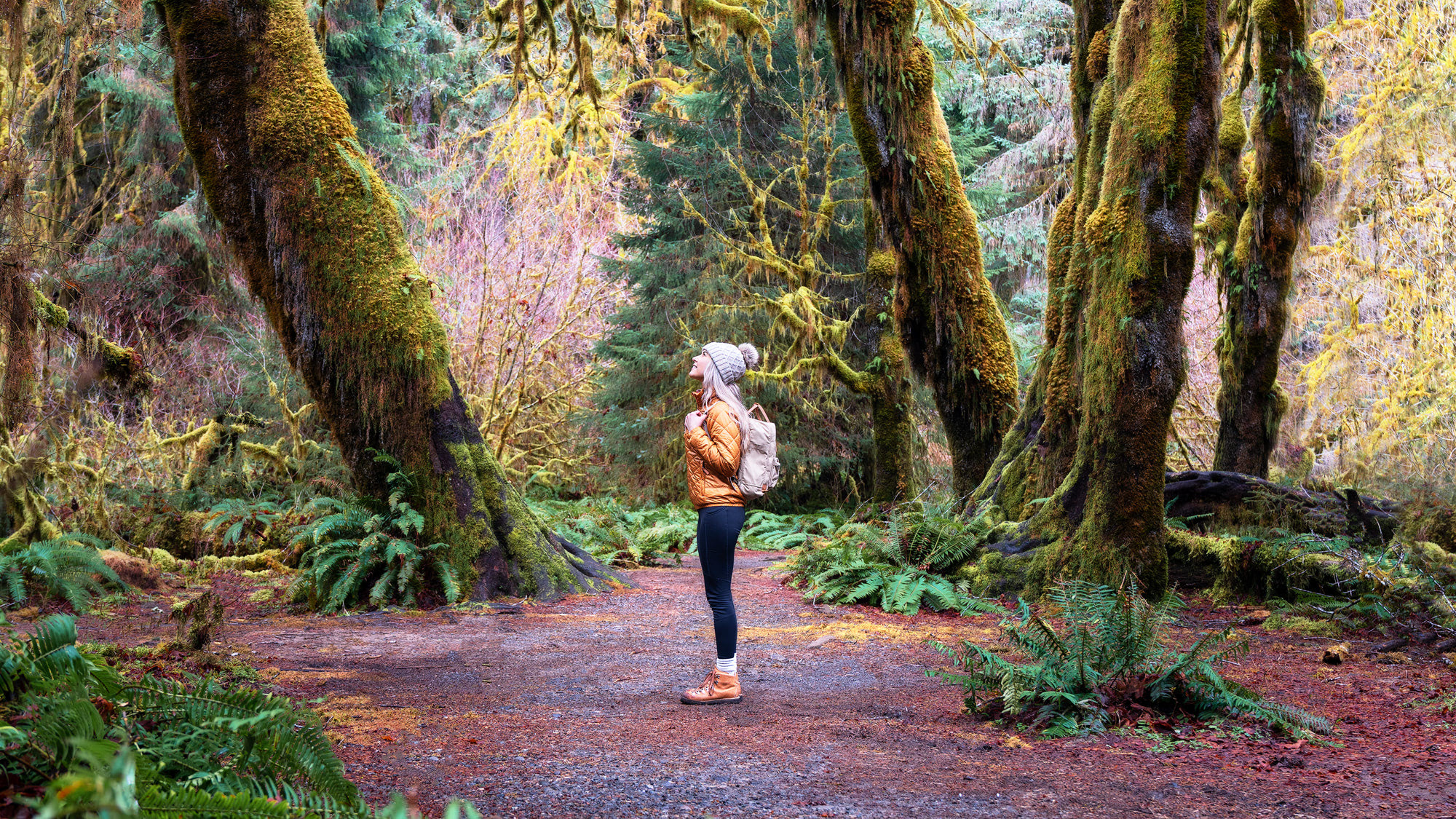 How To Responsibly Enjoy Nature During the COVID-19 Pandemic BANNER