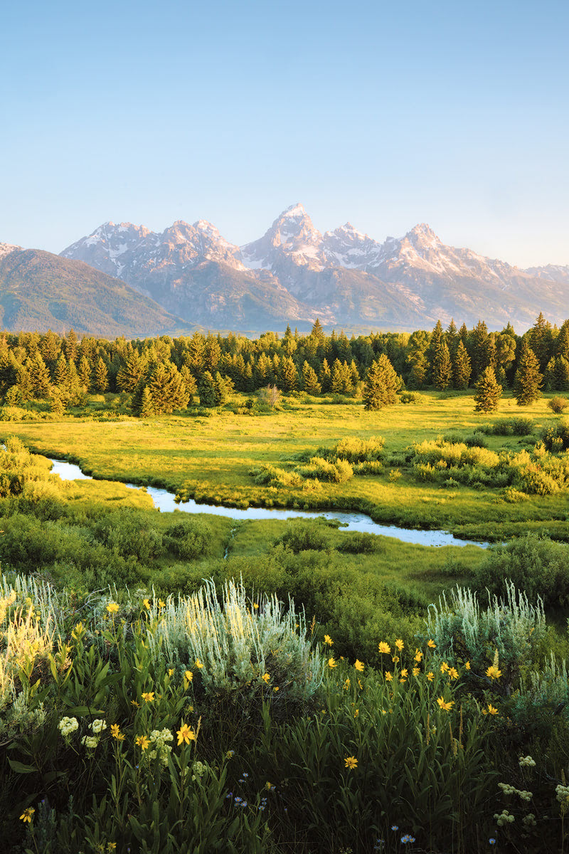 blacktail ponds