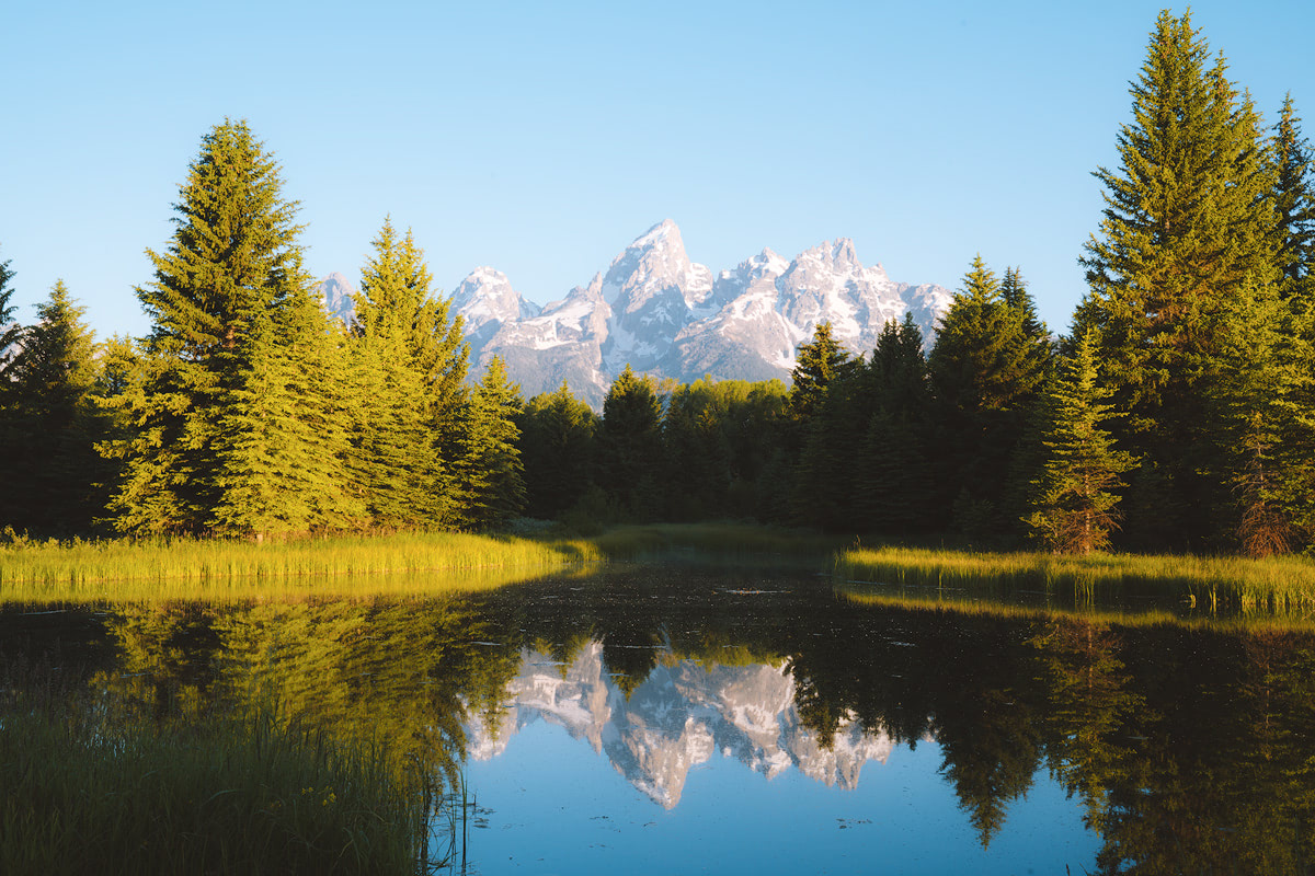 The Ultimate Guide to Exploring Grand Teton National Park