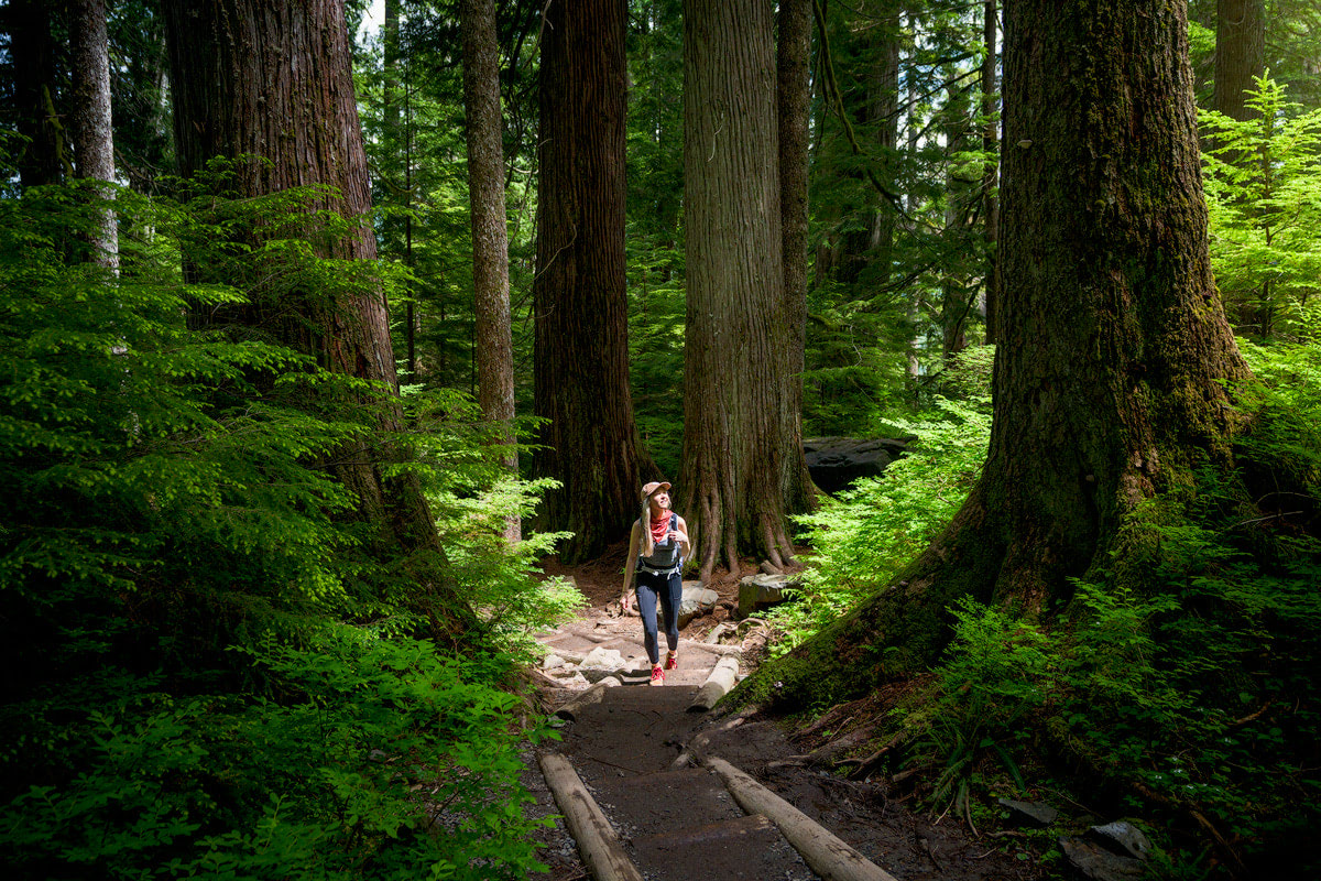 Beginner Hikes in Washington: 11 Incredible Spots - Beginner FrienDly Hikes In Washington State Lake 22 Trail