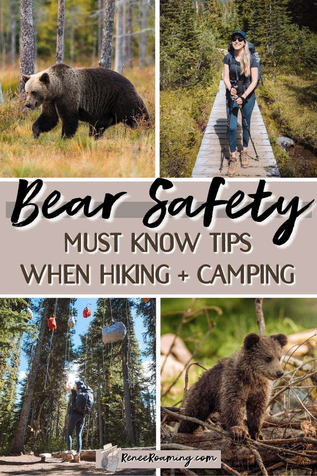 Must Know Bear Safety for Hiking and Camping