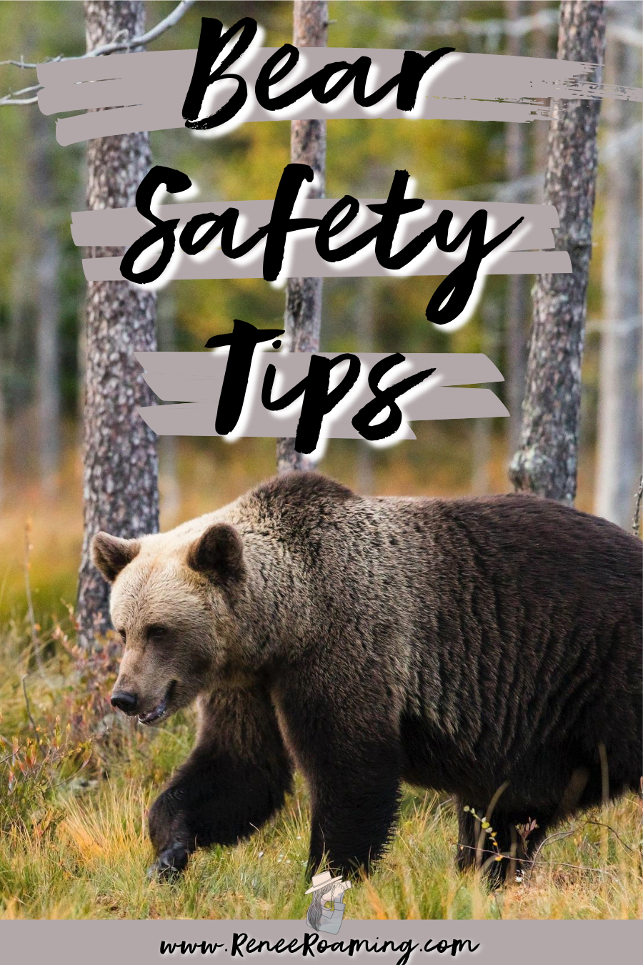 Bear Safety when Hiking and Camping Renee Roaming