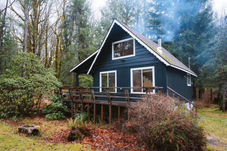 24 Washington Cabins and Tree Houses to Rent Renee Roaming