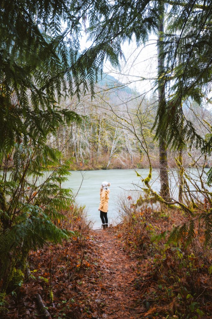 Cozy Cabins to Rent in Washington State - South Fork Riverfront Cabin - Renee Roaming