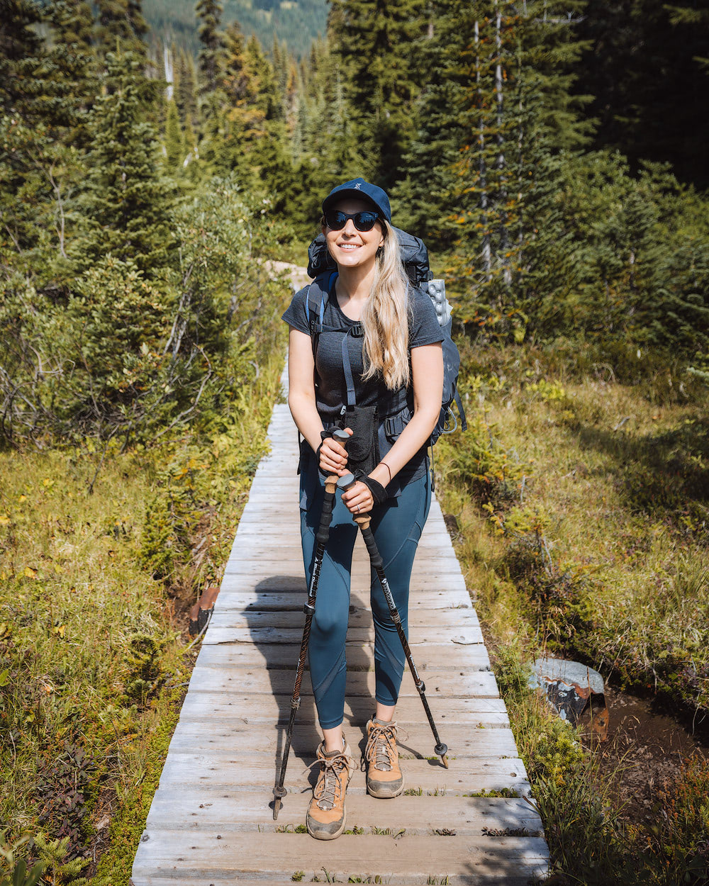 Bear Safety when Hiking and Camping Renee Roaming