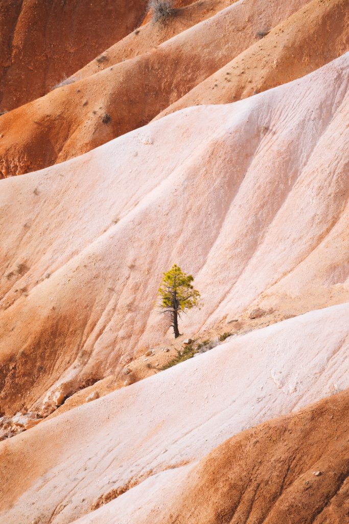 Bryce Canyon