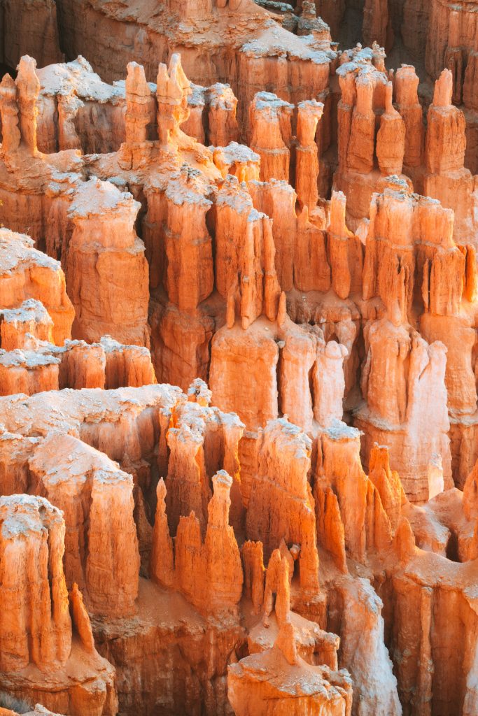 Bryce Canyon Hoodoos