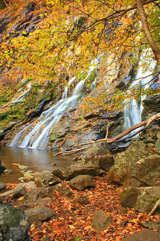 12 BEST National Parks To Visit In The Fall