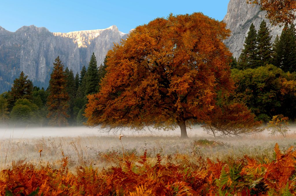 Yosemite Valley