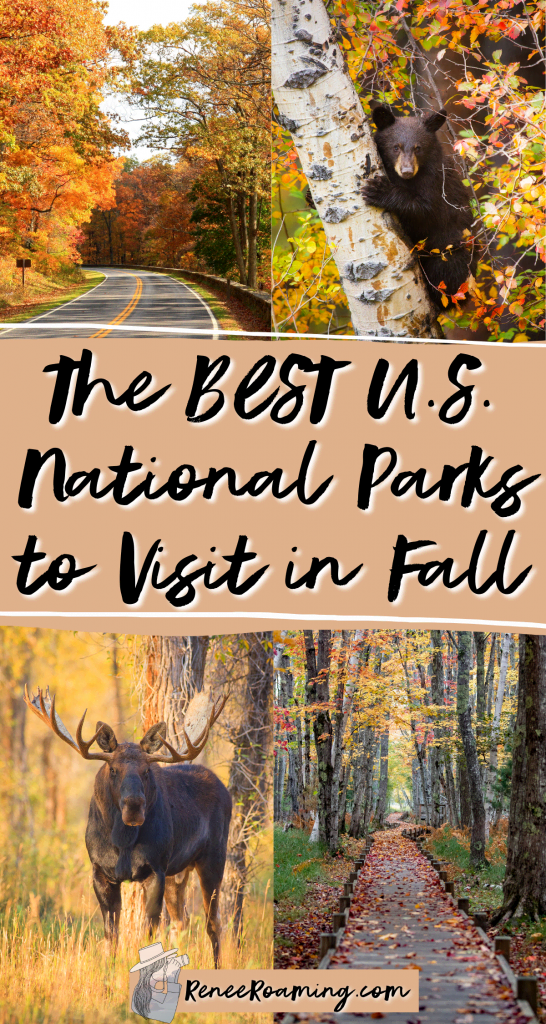 Fall is one of the best times of the year to take a national park adventure! Not only are crowds generally quieter and accommodation is cheaper, but you also get to see the beautiful fall foliage and changing colors! In this blog post I am sharing the 12 best national parks to visit in the fall. These recommendations also come from firsthand experience of someone who has traveled to every US national park! | national parks fall color | national parks fall foliage |