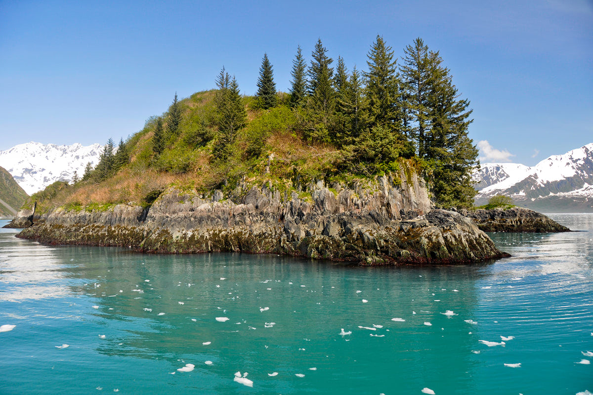 The Ultimate Guide to Exploring Kenai Fjords National Park