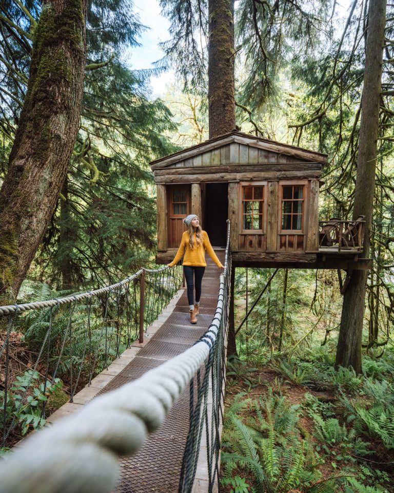 24 Washington Cabins and Tree Houses to Rent Renee Roaming