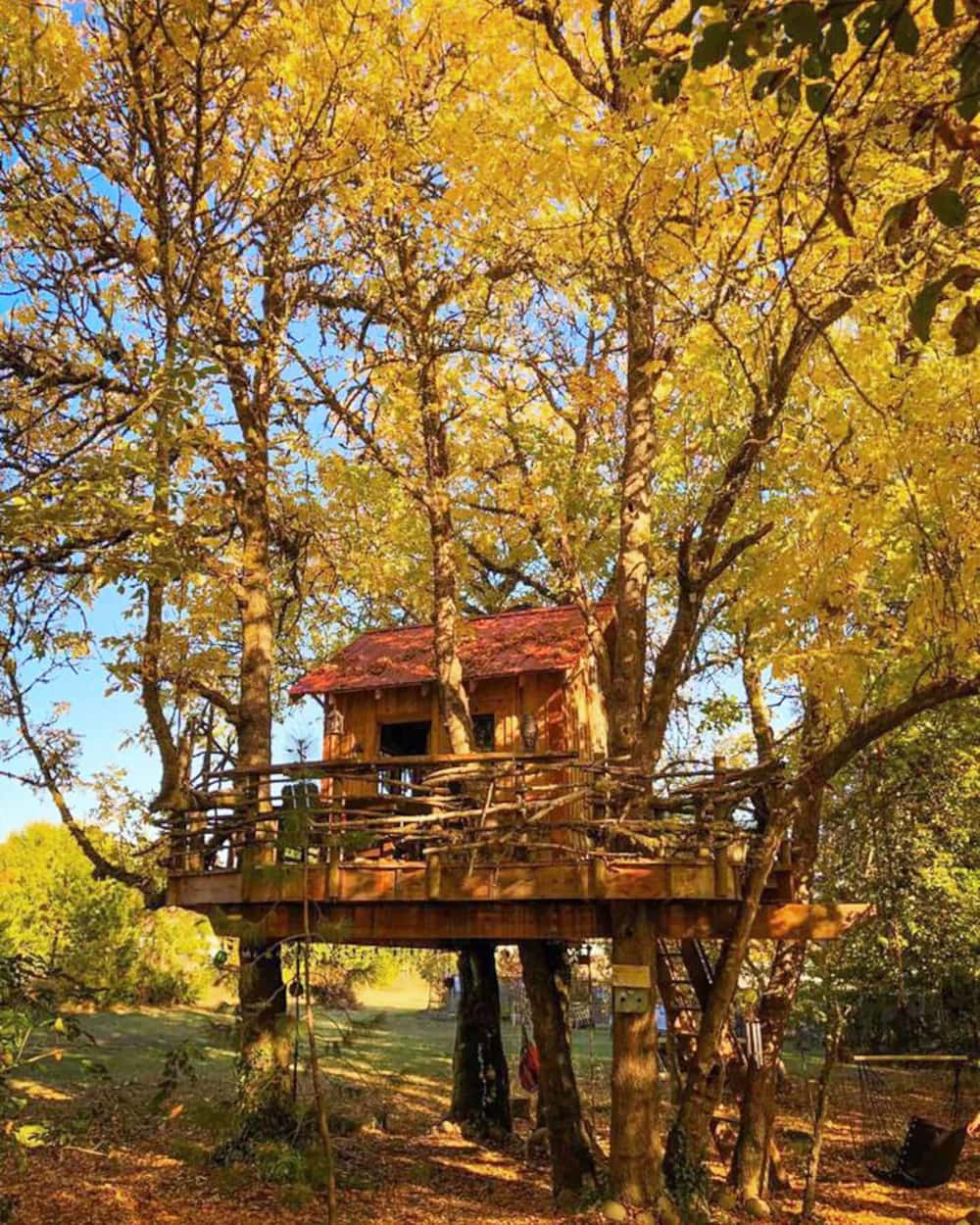 20 Magical Oregon Treehouses You Can Rent - Renee Roaming