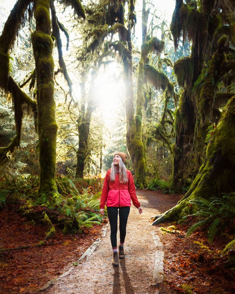 Best Spring National Park - Olympic National Park Hoh Rain Forest Hall of Mosses