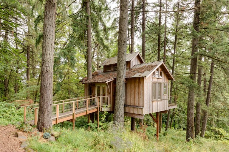 20 Magical Oregon Treehouses You Can Rent Renee Roaming