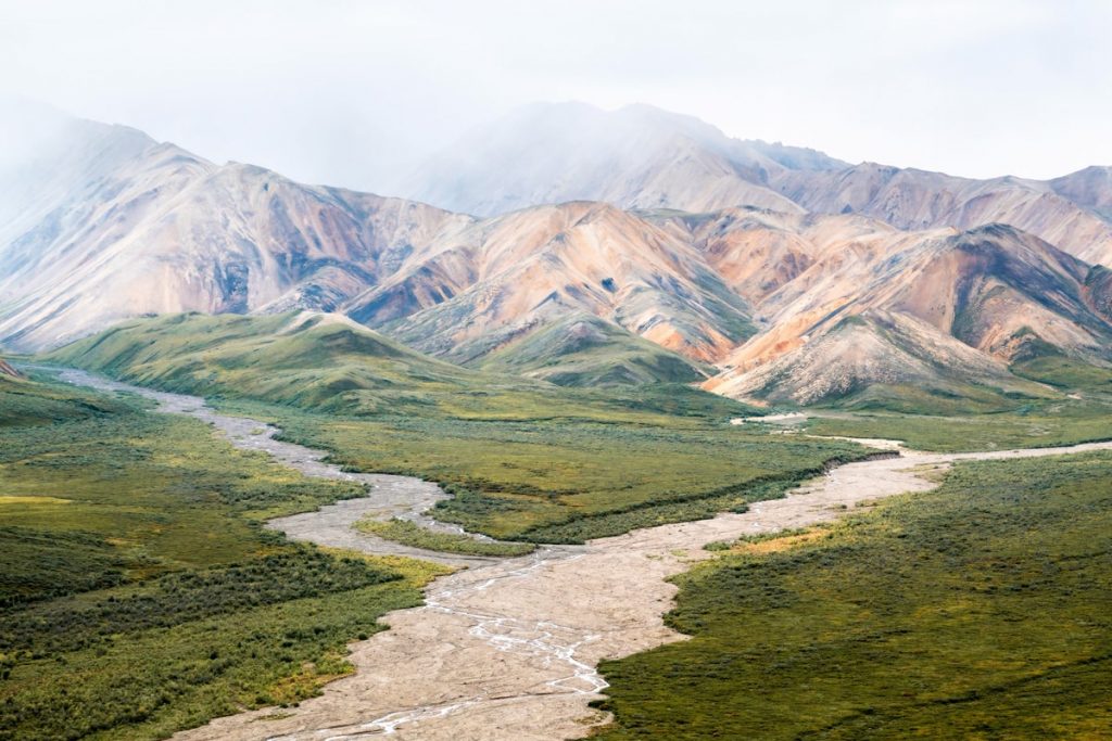 Denali National Park Tour Best National Parks to Visit in Summer - Denali National Park Tour