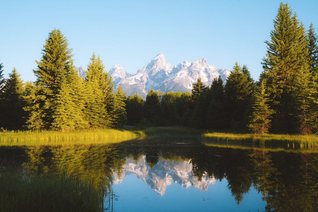 Grand Teton National Park Schwabacher Landing Best National Parks to Visit in Summer - Grand Teton National Park Schwabacher Landing