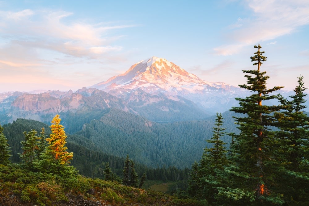 Mount Rainier National Park Best National Parks to Visit in Summer - Mount Rainier National Park