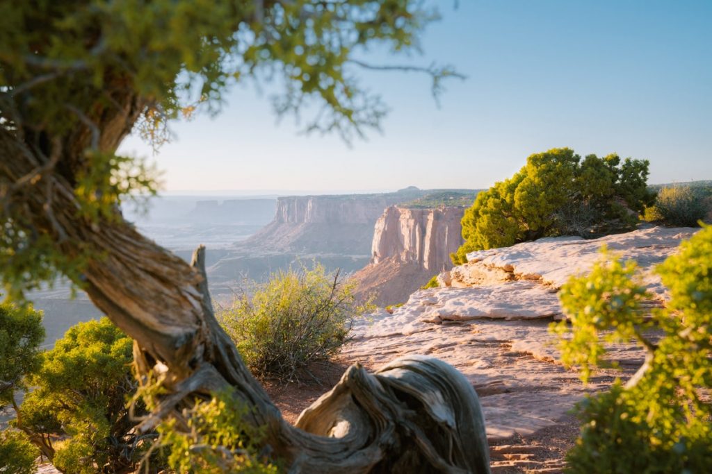 Canyonlands National Park Ultimate Utah National Parks Road Trip - Canyonlands National Park