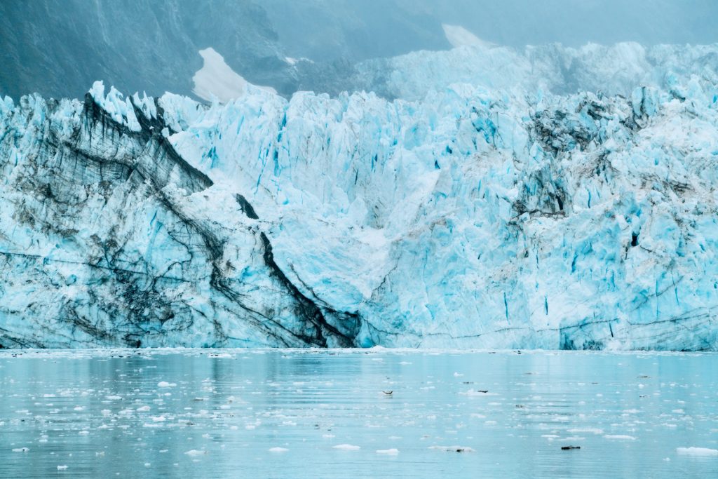 Visit Glacier Bay National Park