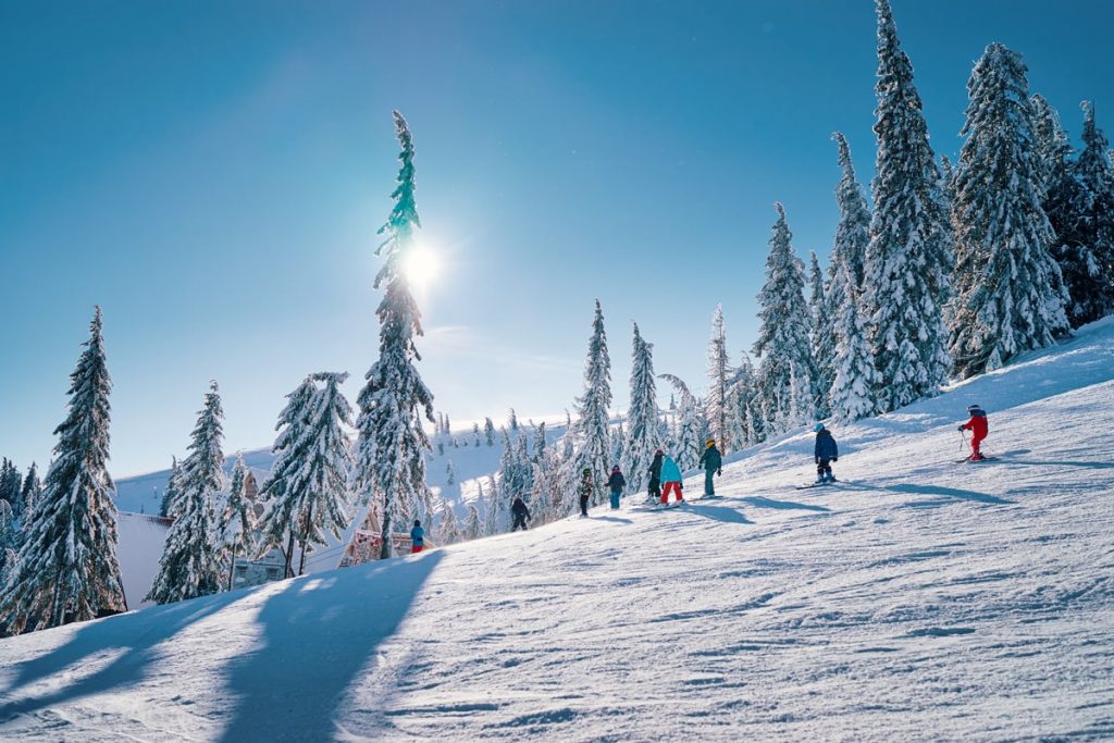 Beginner Ski Guide - Learn to Ski as an Adult
