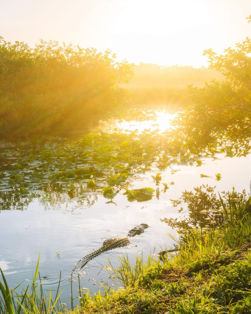 US National Park Bucket List - Everglades National Park