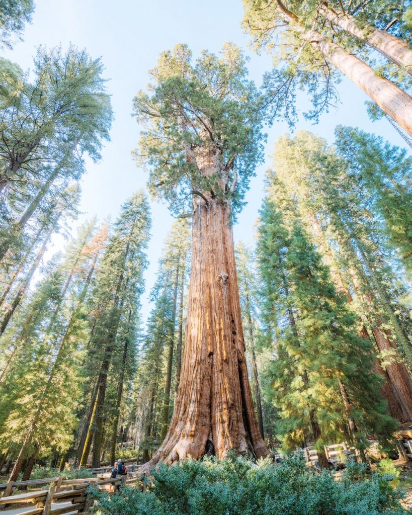 US National Park Bucket List - Sequoia and Kings Canyon National Park