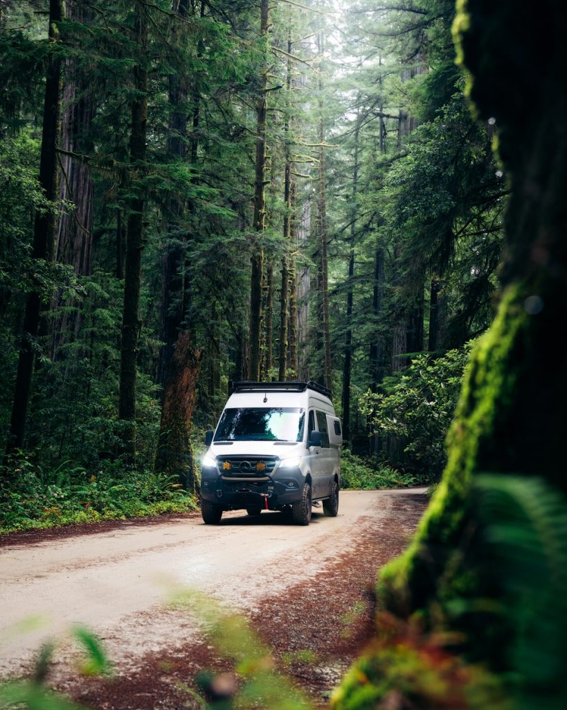 Best Redwoods Scenic Drives - Howland Hill Road Jedediah Smith Redwoods State Park