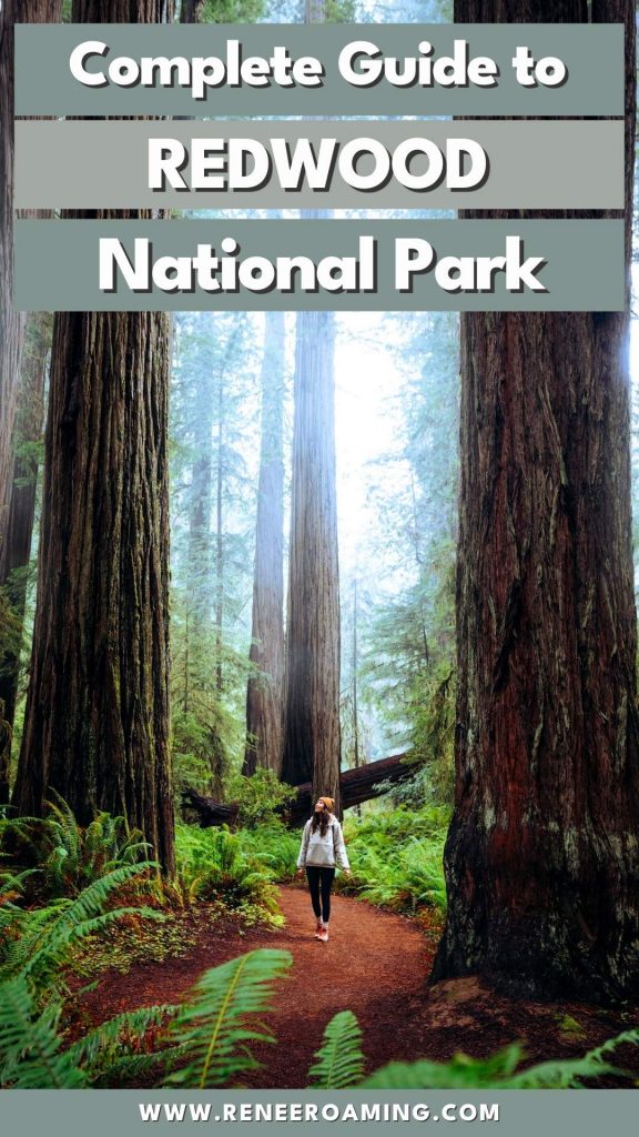 Planning a California road trip to see the tallest trees in the world? This Redwood National Park Guide is a MUST read before your next adventure! I'm sharing my favorite hiking trails, scenic drives, travel tips, and my recommended itinerary for your trip to one of California's most beautiful parks. You'll be adding Redwood National Park to your bucket list in no time!